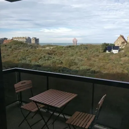 Mooie Studio Te Met Zicht Op Zee Coxyde